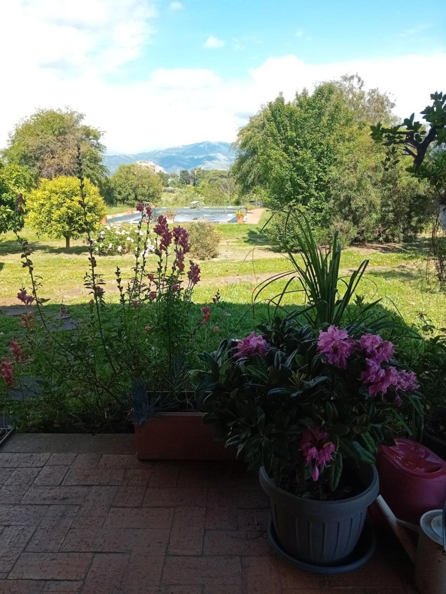 Casa Pratolungo Pensionat Velletri Exteriör bild