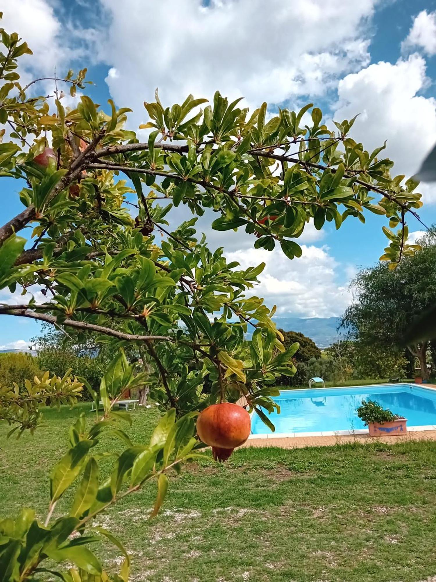 Casa Pratolungo Pensionat Velletri Exteriör bild